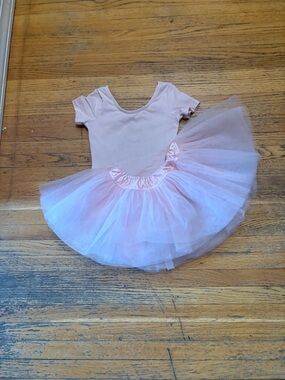 Girls Ballet Leotard and Tulle Tutu Set in Light Pink